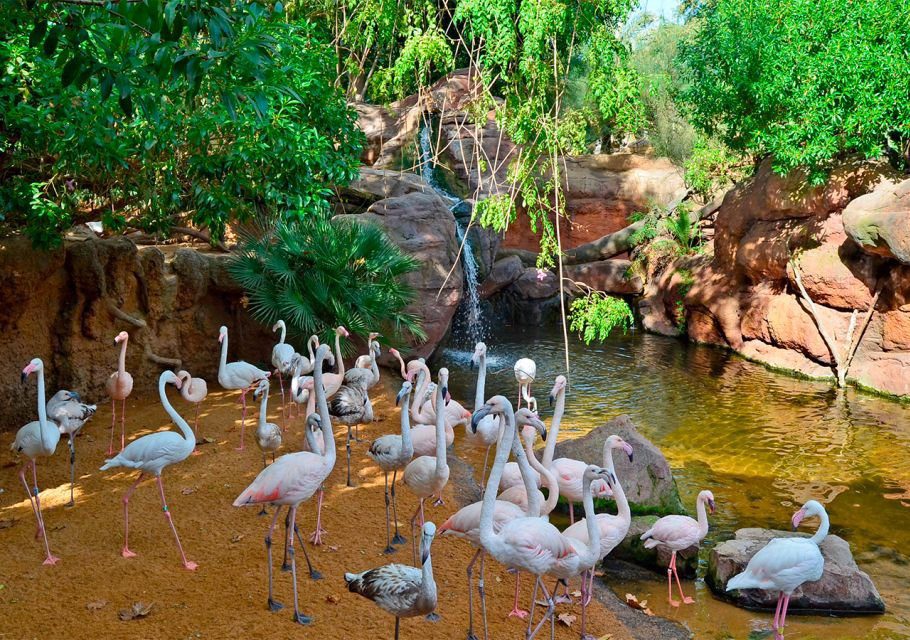 Get+your+Guide+BioParc+1